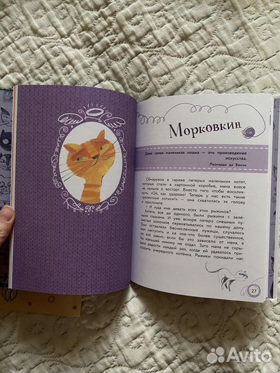 Новые книги Истории про котов