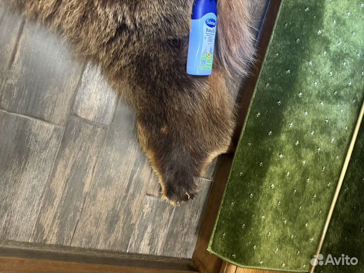 Шкура медведя имитация