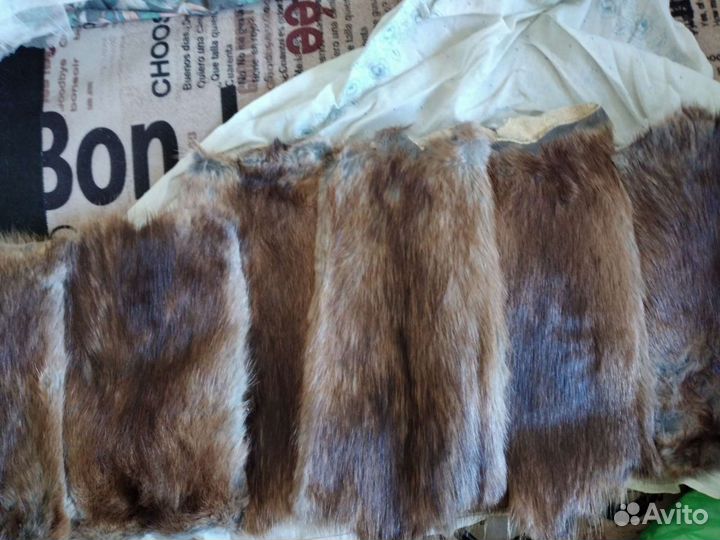 Шкурка животного