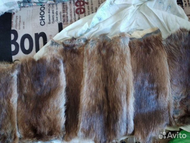 Шкурка животного