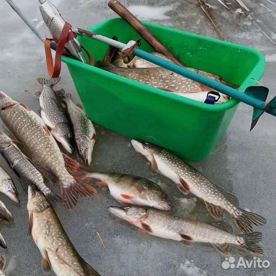 Рыбалка и отдых