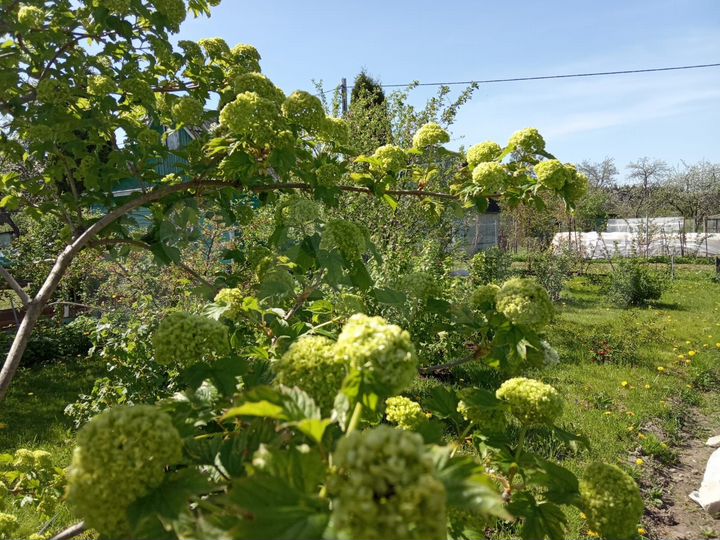 Дача 10 м² на участке 5 сот.