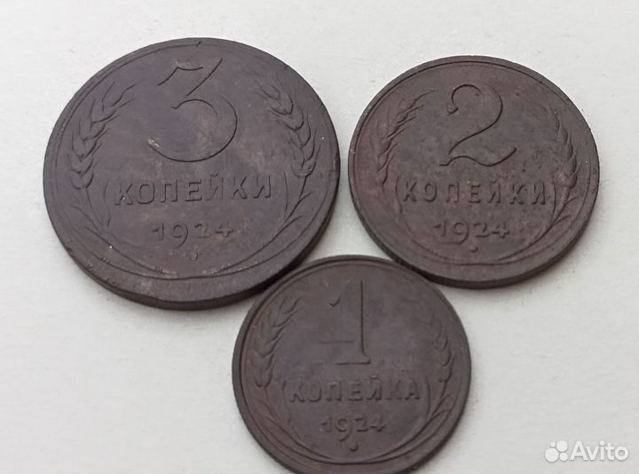 Медные монеты СССР, 1924г