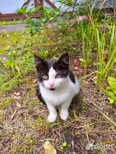 Человек, ты мне нужен