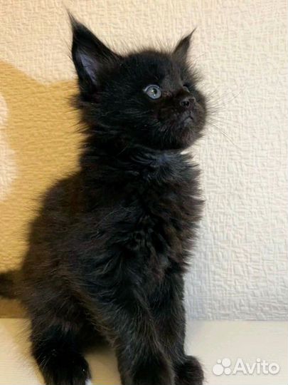 Обязательные гиганты переезжают