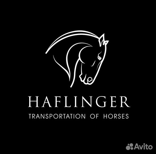 Услуги графического дизайнера