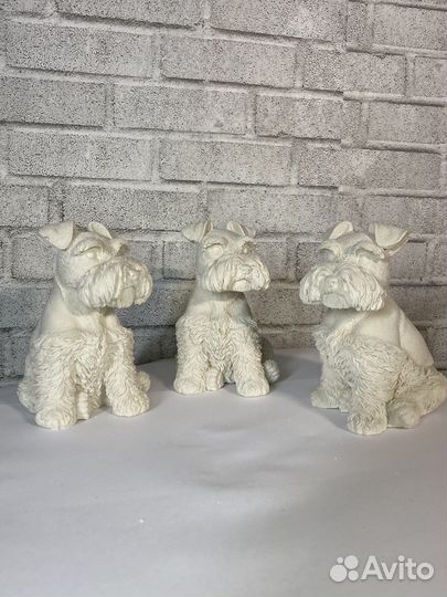 Цвергшнауцер