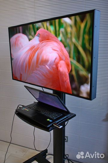 Мобильная стойка для презентаций и BKC