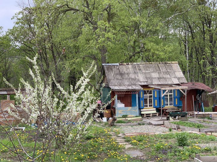 Участок 20 сот. (СНТ, ДНП)