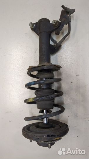 Амортизатор подвески Nissan Primera P12, 2005