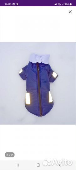 Одежда для собак