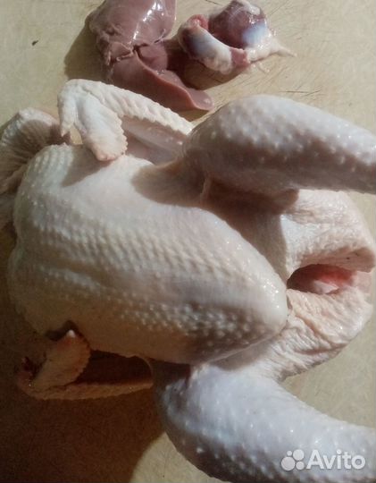 Курица 250 домашняя