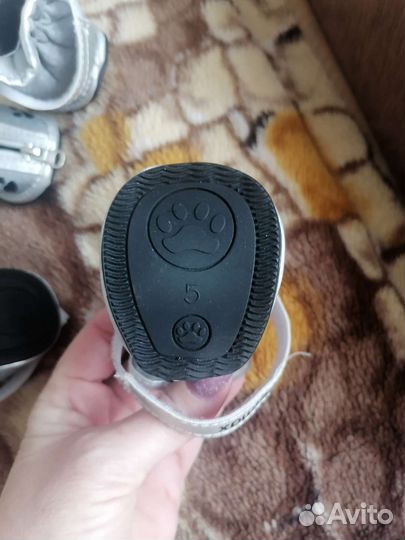 Ботинки для маленьких собак