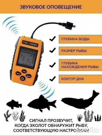 Эхолот для зимней рыбалки и летней