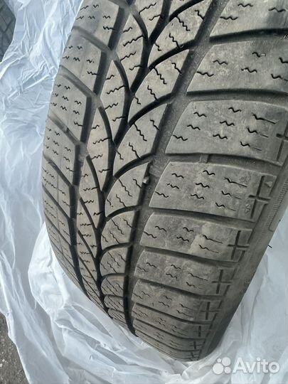 Tigar Winter 1 205/55 R16 94H