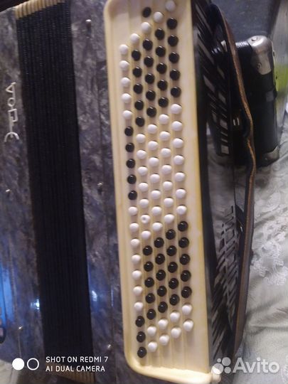 Баян Этюд трехрядный