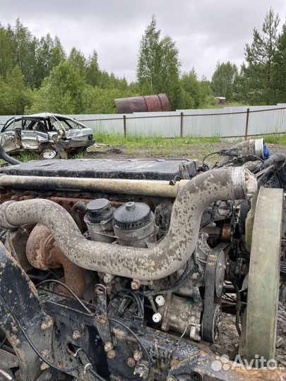 Двигатель d2066lf02