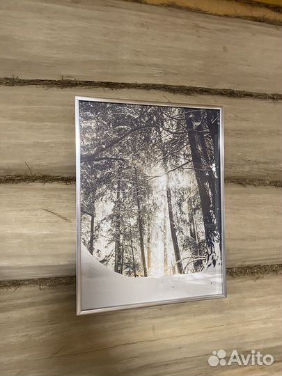 Картины и постеры