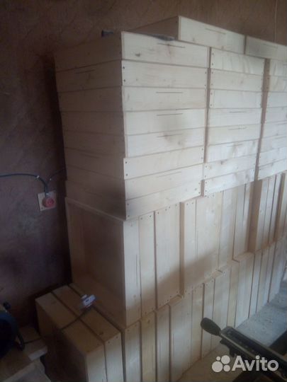 Пчелы и улья