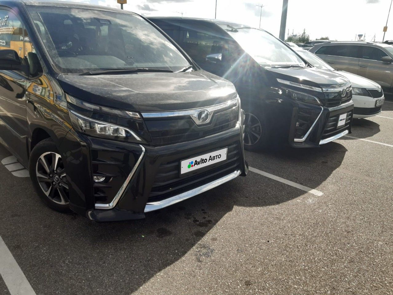 Toyota Voxy: фото владельца