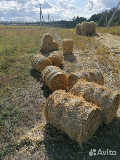 Солома в рулонах