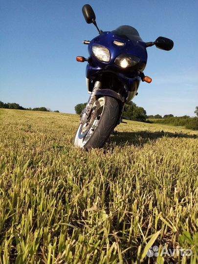 Suzuki sv400s