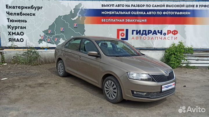 Заглушка двери задней левой Skoda Rapid 5JA839915