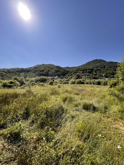 Участок 10 сот. (СНТ, ДНП)