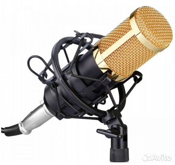 Микрофон BM800