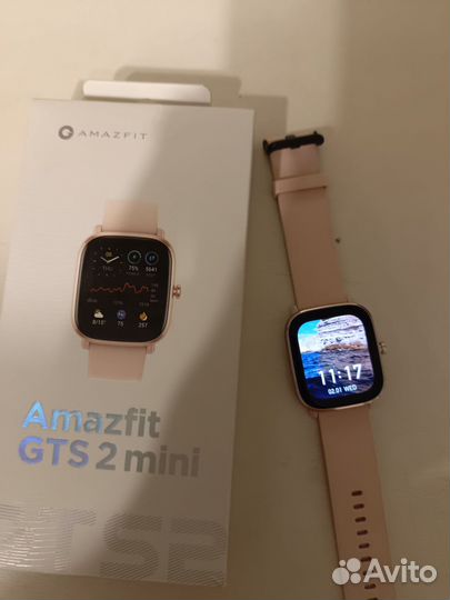 Amazfit gts 2 mini