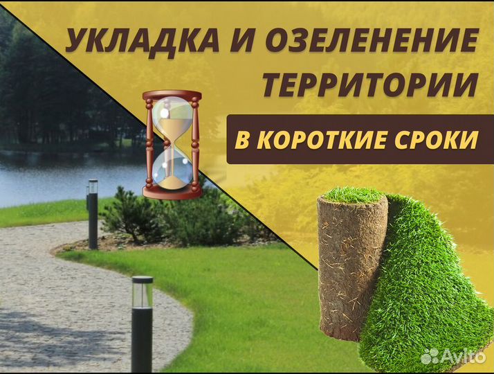 Рулонный газон Стандарт с укладкой