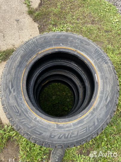 Nitto Therma Spike 185/70 R14 88T