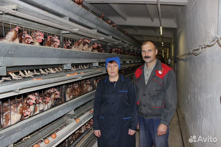 Упаковщик(ца) куриных лап Вахта Жилье