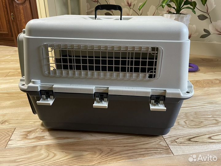 Переноска для собак - аренда