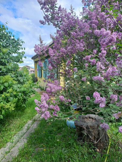 Дача 49,8 м² на участке 13,1 сот.