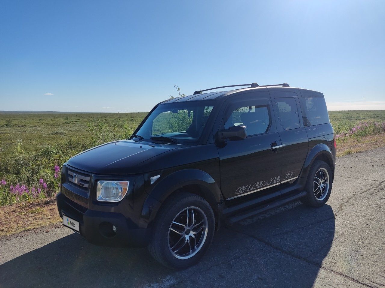 Honda Element: фото из отзыва
