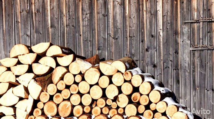 Дрова заготовителей дров