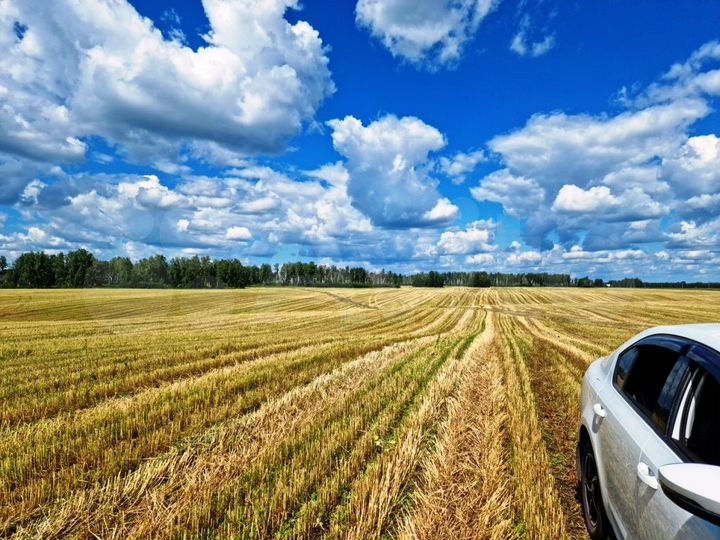 Участок 33 га (СНТ, ДНП)