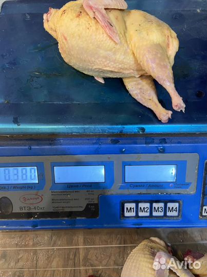 Тушки перепела