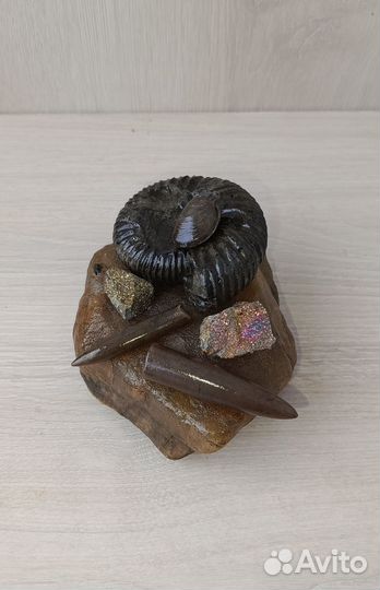 Композиция на симбирците 2 