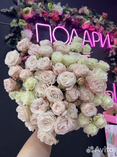 Кустовые розы