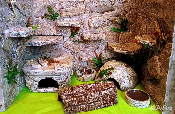 Фон для террариума