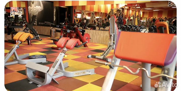 Фитнес ленинградское шоссе. Зебра Щелковское шоссе 3. World class Тверская. Зебра фитнес Черкизовская. Фитнес клуб Зебра Черкизовская.