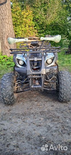 Avantis hunter 8+ lite