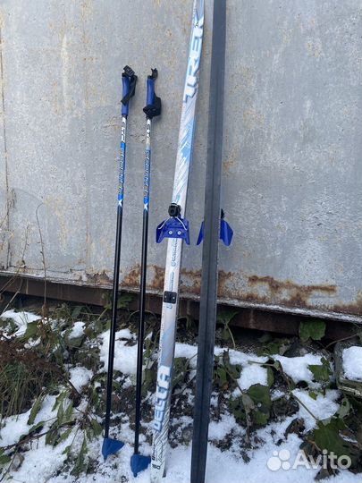 Беговые лыжи