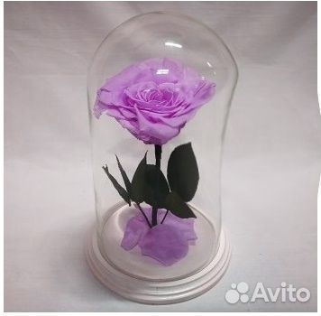 Вечная Роза в колбе + Гравировка в подарок