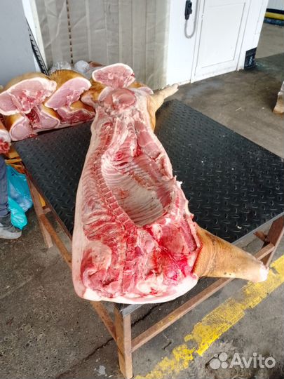 Мясо говядина свинина