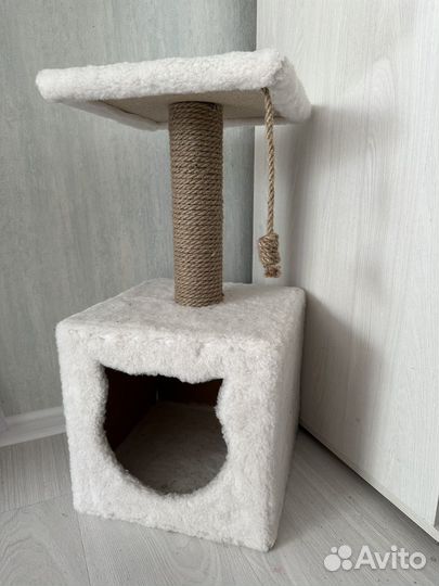 Кошечка в добрые руки