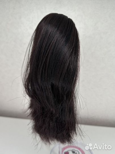 Голова ооак Мокси Тинз