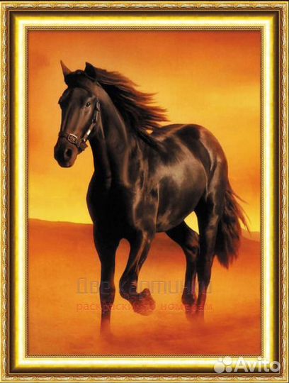 Алмазная мозаика 30x40 Чёрный большой конь в пусты